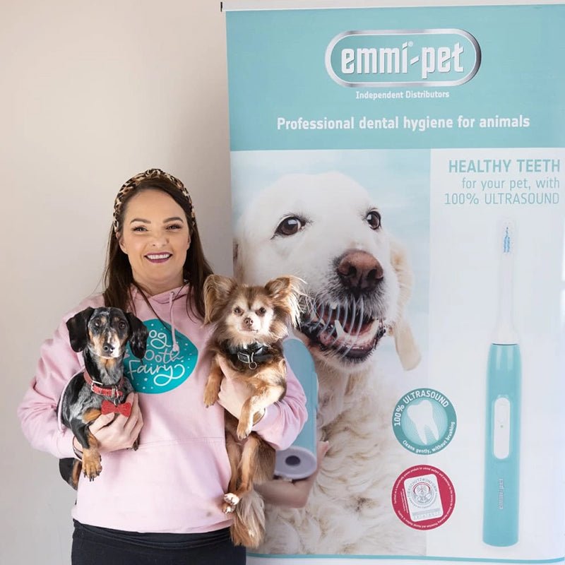 Launching Emmi-Pet - The Guide for Ultimate Confidence
