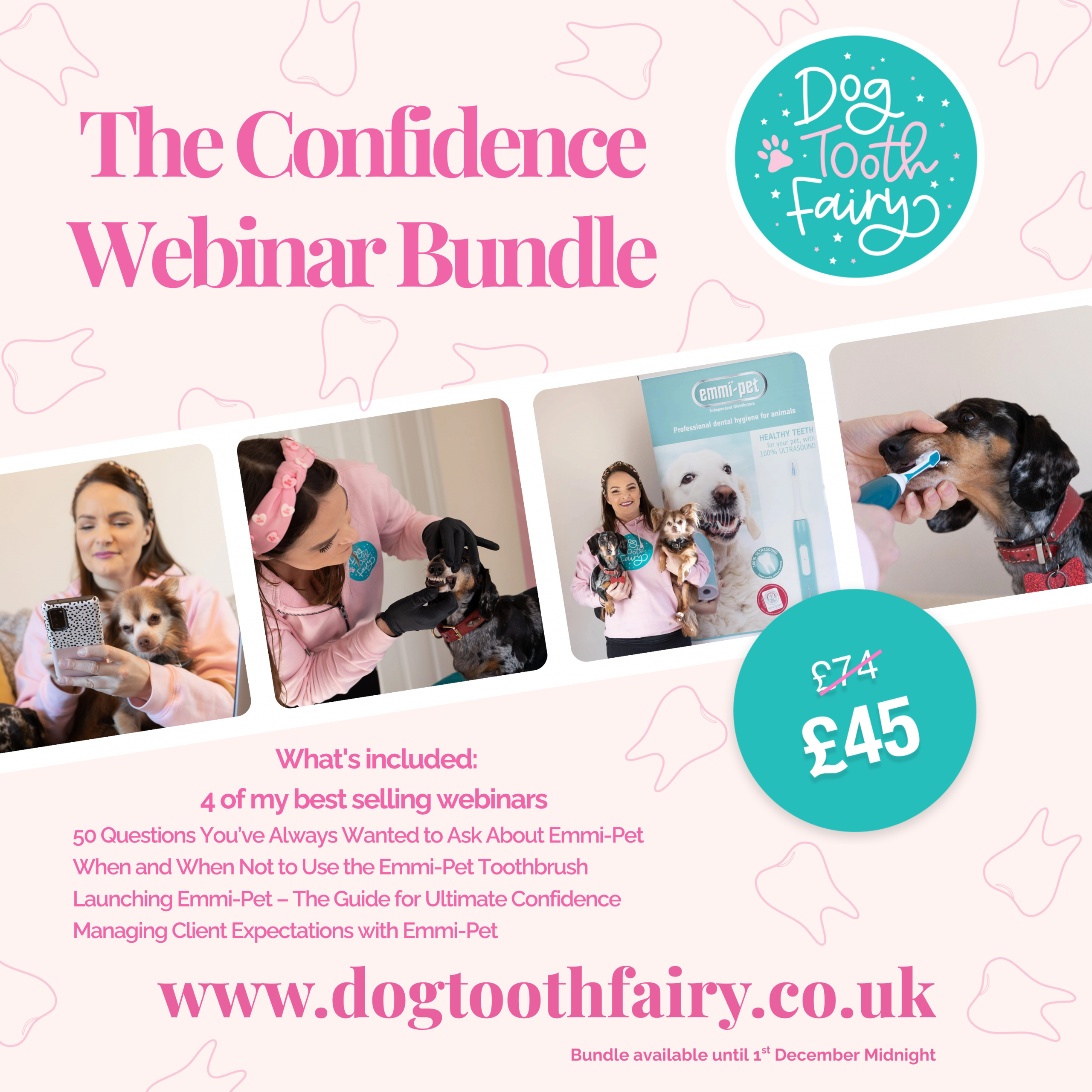 The Confidence Webinar Bundle – The Dog Tooth Fairy