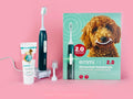 Basic Kit (perfect for Pet Owners)