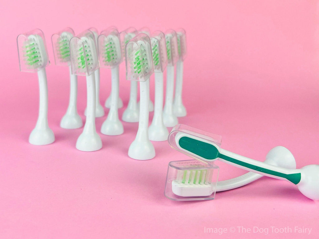 emmi®-pet Ultrasonic Attachments Large (Twin Pack)