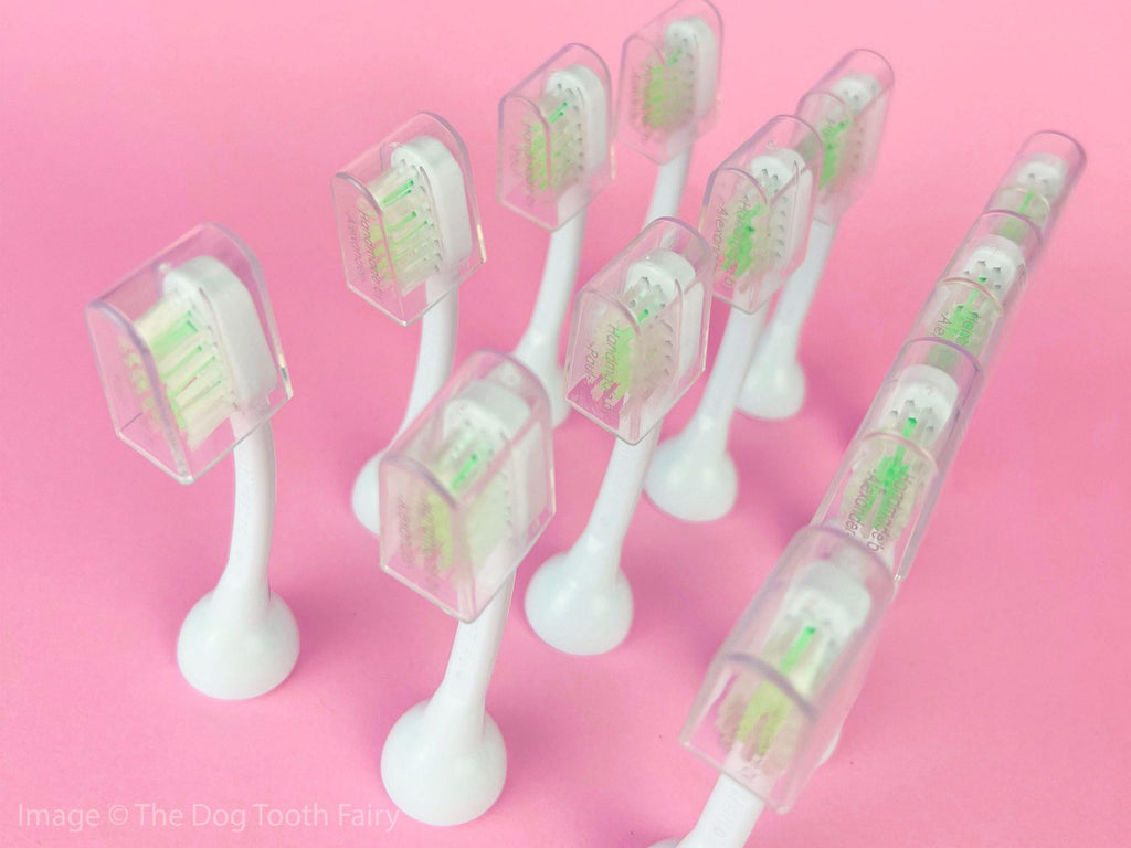 emmi®-pet Ultrasonic Attachments Large (Twin Pack)