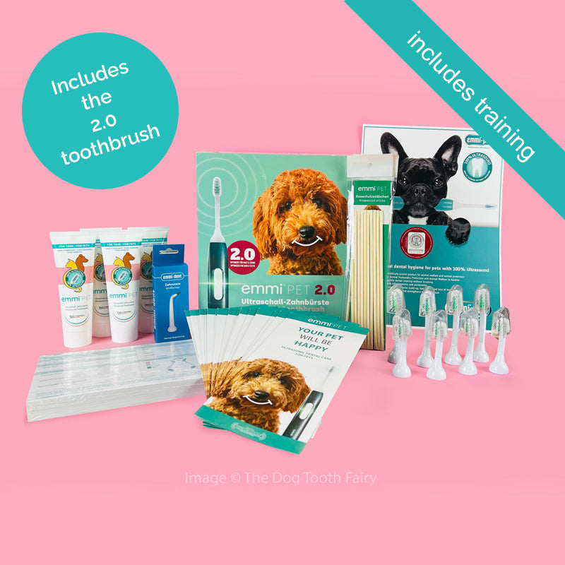 Deluxe Business Starter Kit