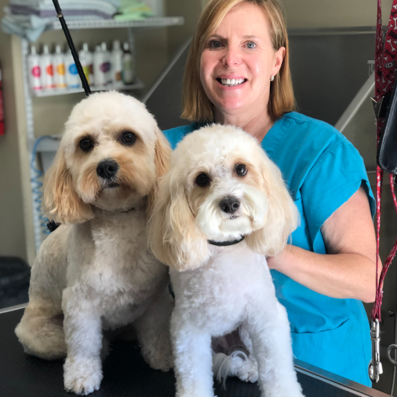 Diane - Pawz First Dog Grooming Perth, Australia