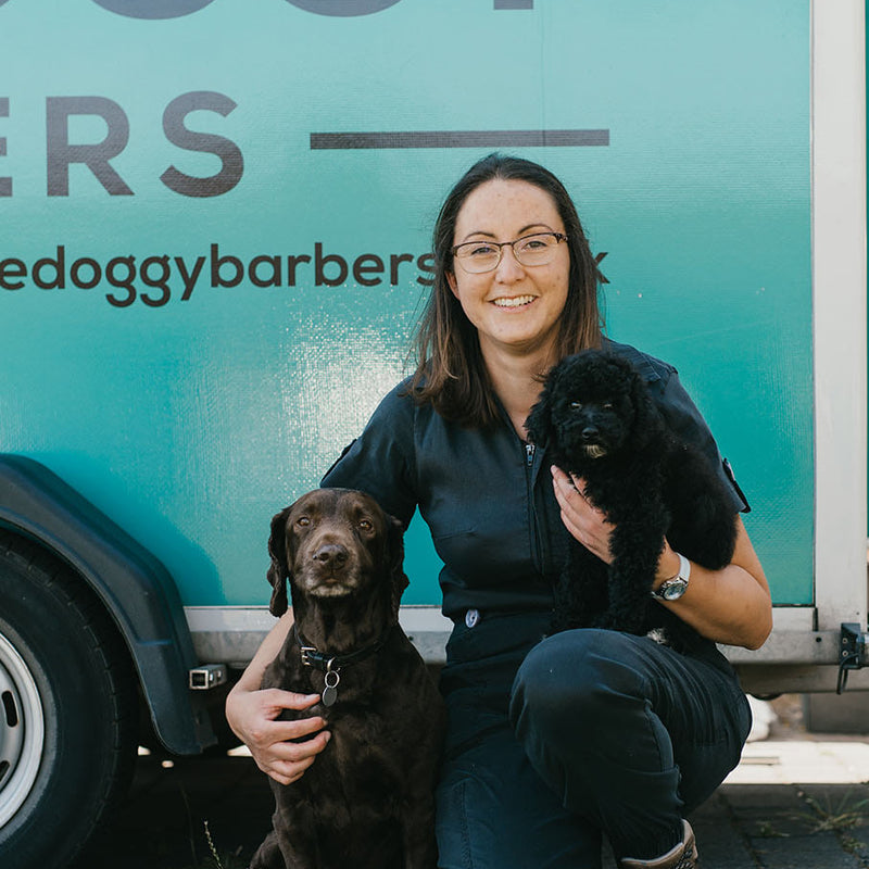 Morgan - The Doggy Barbers