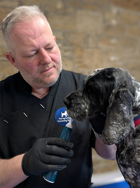 John - Harvey’s Dog Grooming Salon