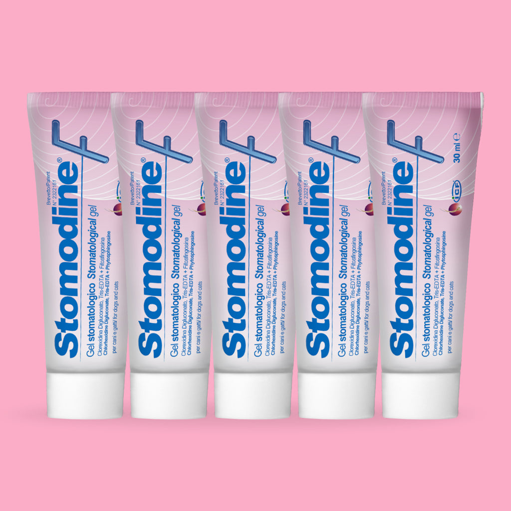 Stomodine® F – Stomatological Gel (Pack of 5)