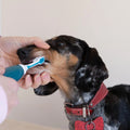 Managing client expectations with Emmi-Pet