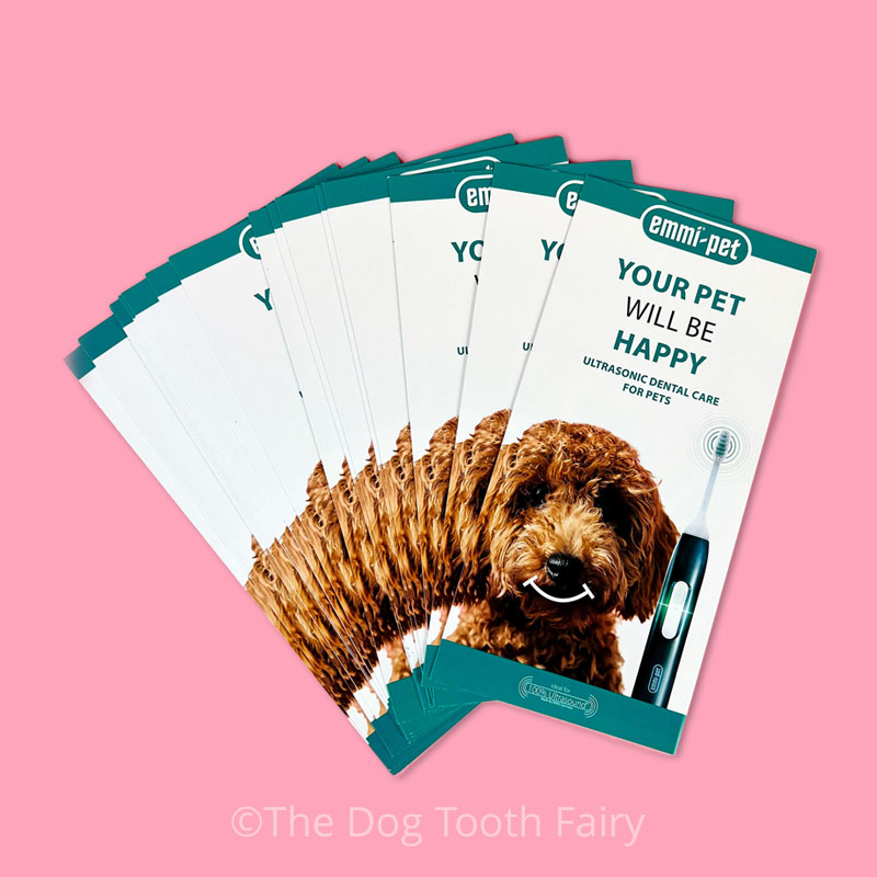 DTF_Emmi-Pet_Leaflets emmi®-pet Leaflets (Pack Of 50)