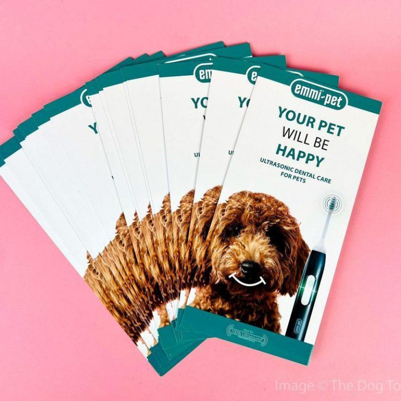 emmi®-pet Leaflets (Pack Of 50)