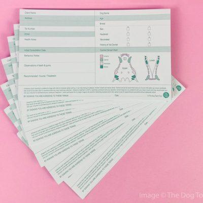 emmi®-pet Dental Record Cards