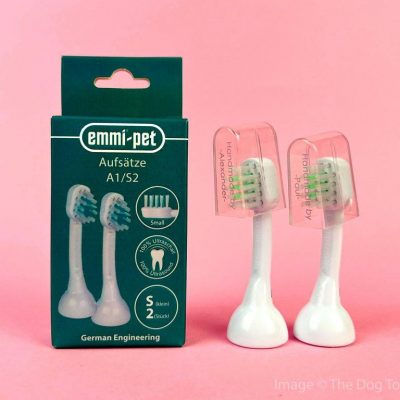 DTF_Small Brush 2 Pack_18