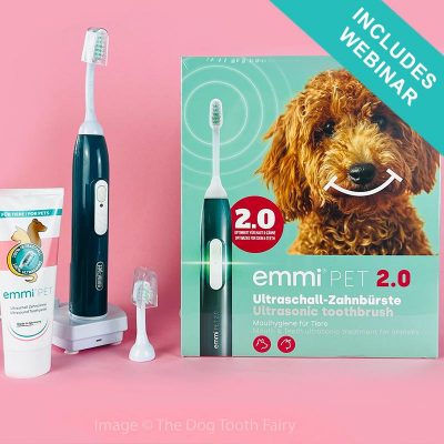 Basic Kit including webinar (perfect for Pet Owners)