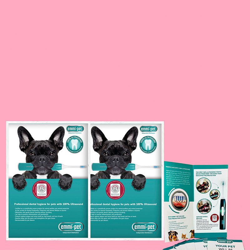 emmi®-pet Leaflet and Poster Marketing Bundle <br>(Mint/French Bulldog design)