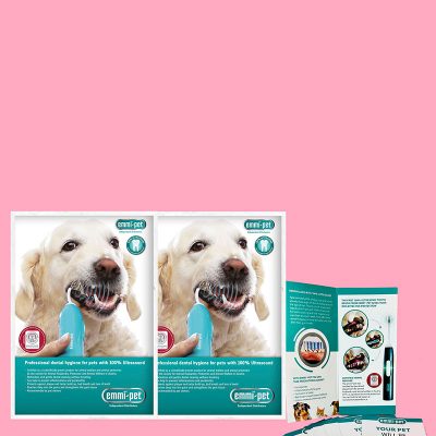 Emmi-pet Leaflet and poster Marketing bundle A4 x 2 Golden Retriever
