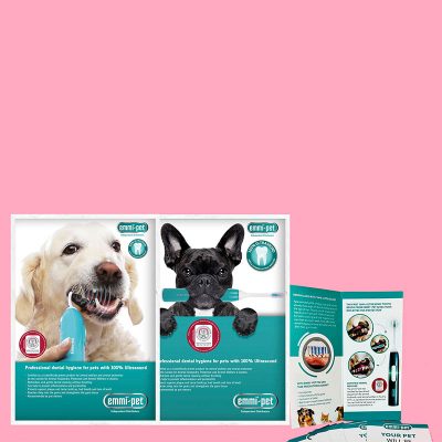 emmi®-pet Leaflet and Poster Marketing Bundle <br>(Mint/ Golden Retriever & French Bulldog design)