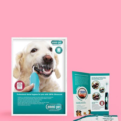emmi®-pet Leaflet and Poster Marketing Bundle <br>(Mint/ Golden Retriever design)