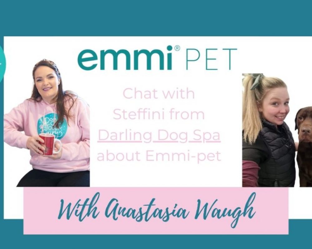 Chat with Steffini from Darling Dog Spa about emmi®-pet
