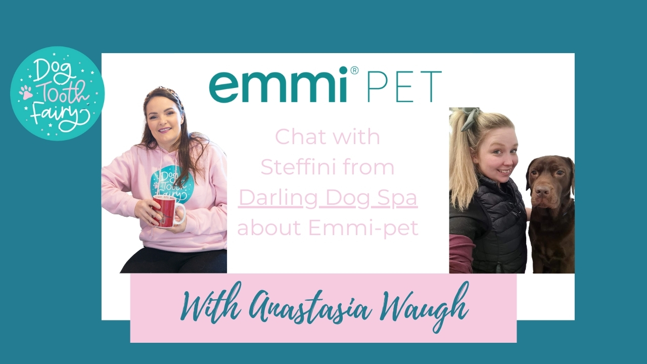 Chat with Steffini from Darling Dog Spa about emmi®-pet