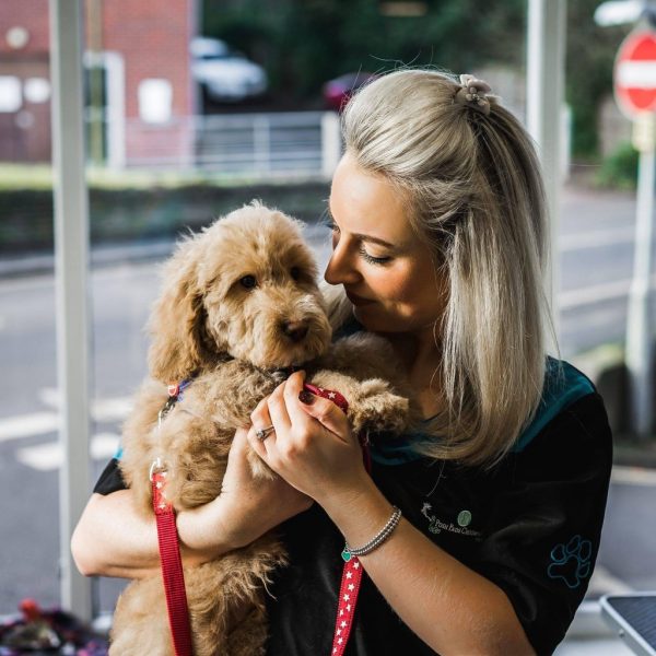 Faye<br>Posh Pads Grooming<br> and Grooming for Growth