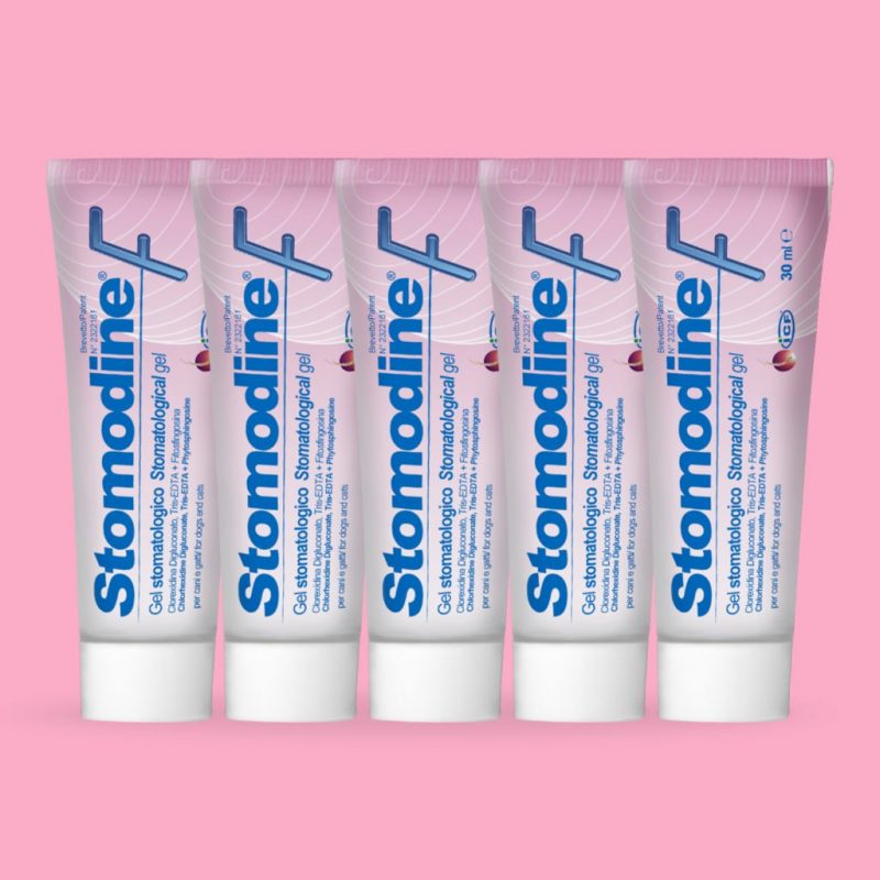 Stomodine® F - Stomatological Gel (Pack of 5)