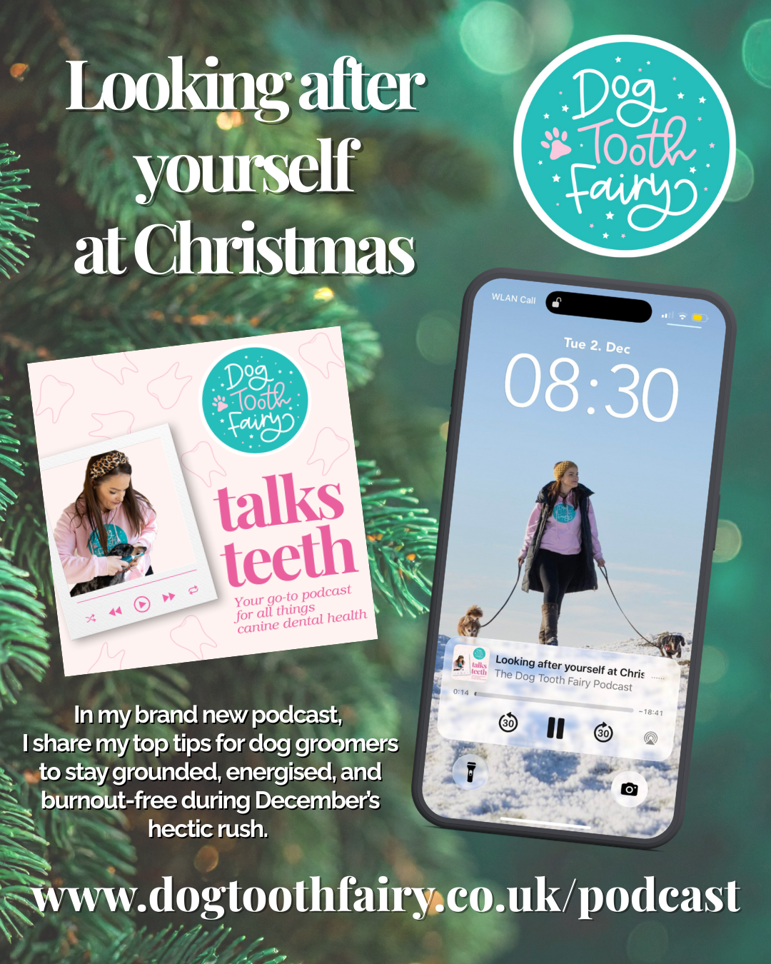 The Dog Tooth Fairy Podcast The Dog Tooth Fairy Podcast