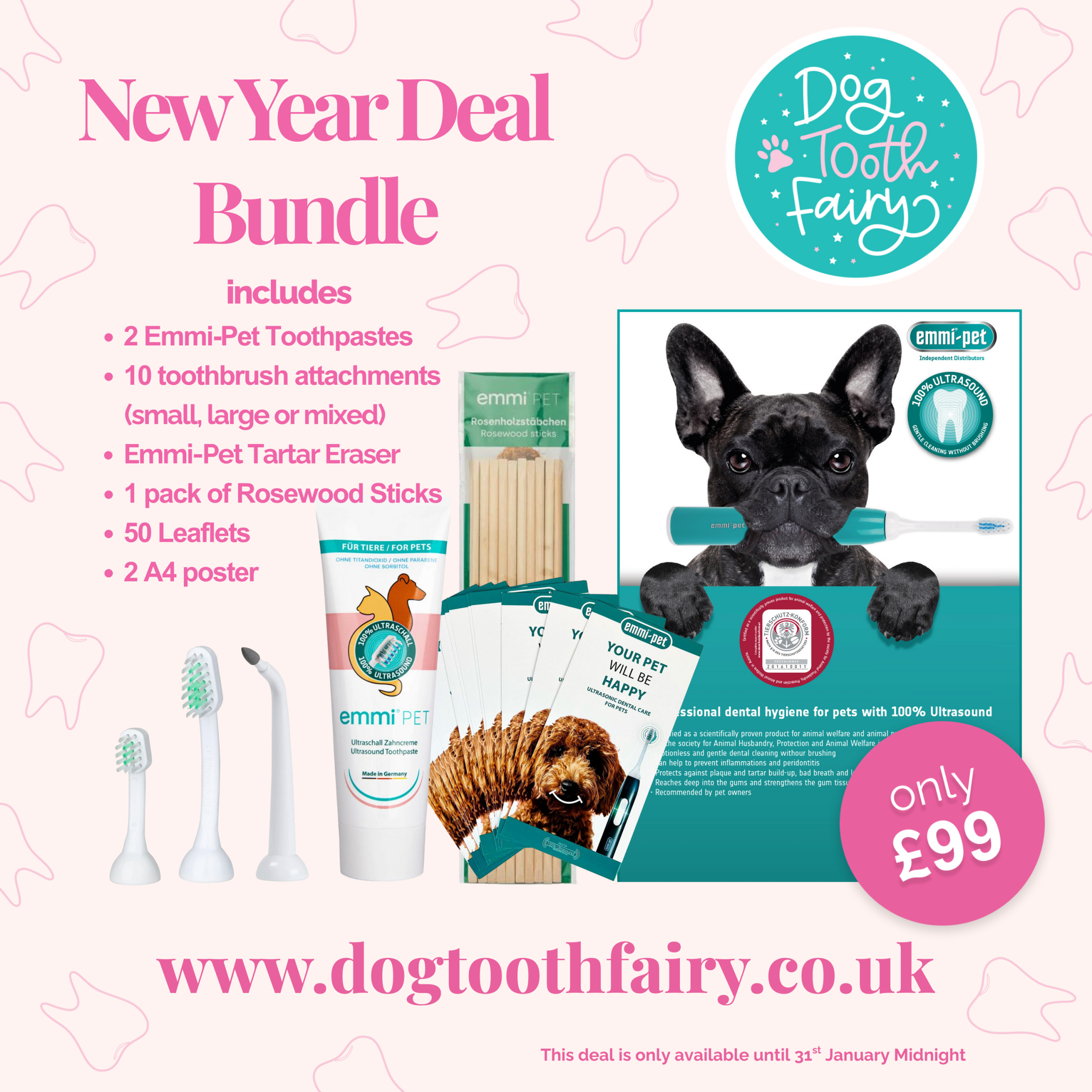 New Year Deal Bundle