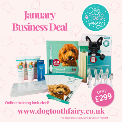 January Business Deal