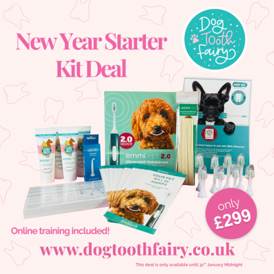 New Year Starter Kit Deal