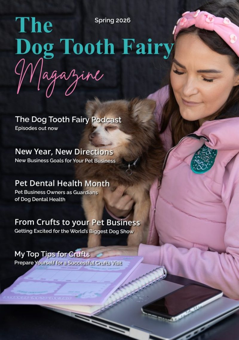 The Dog Tooth Fairy Magazine Spring 2026